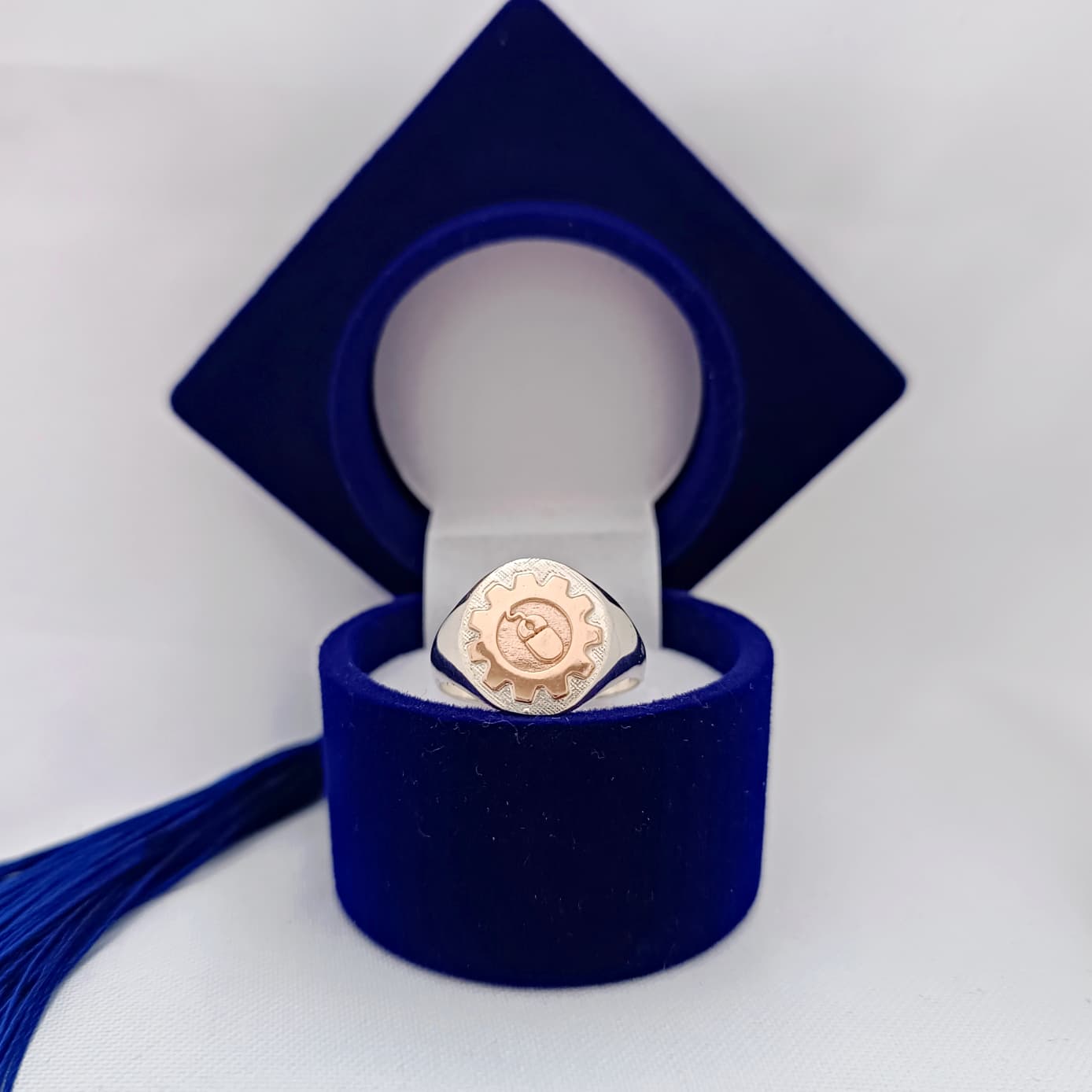 Anillos Profesión
