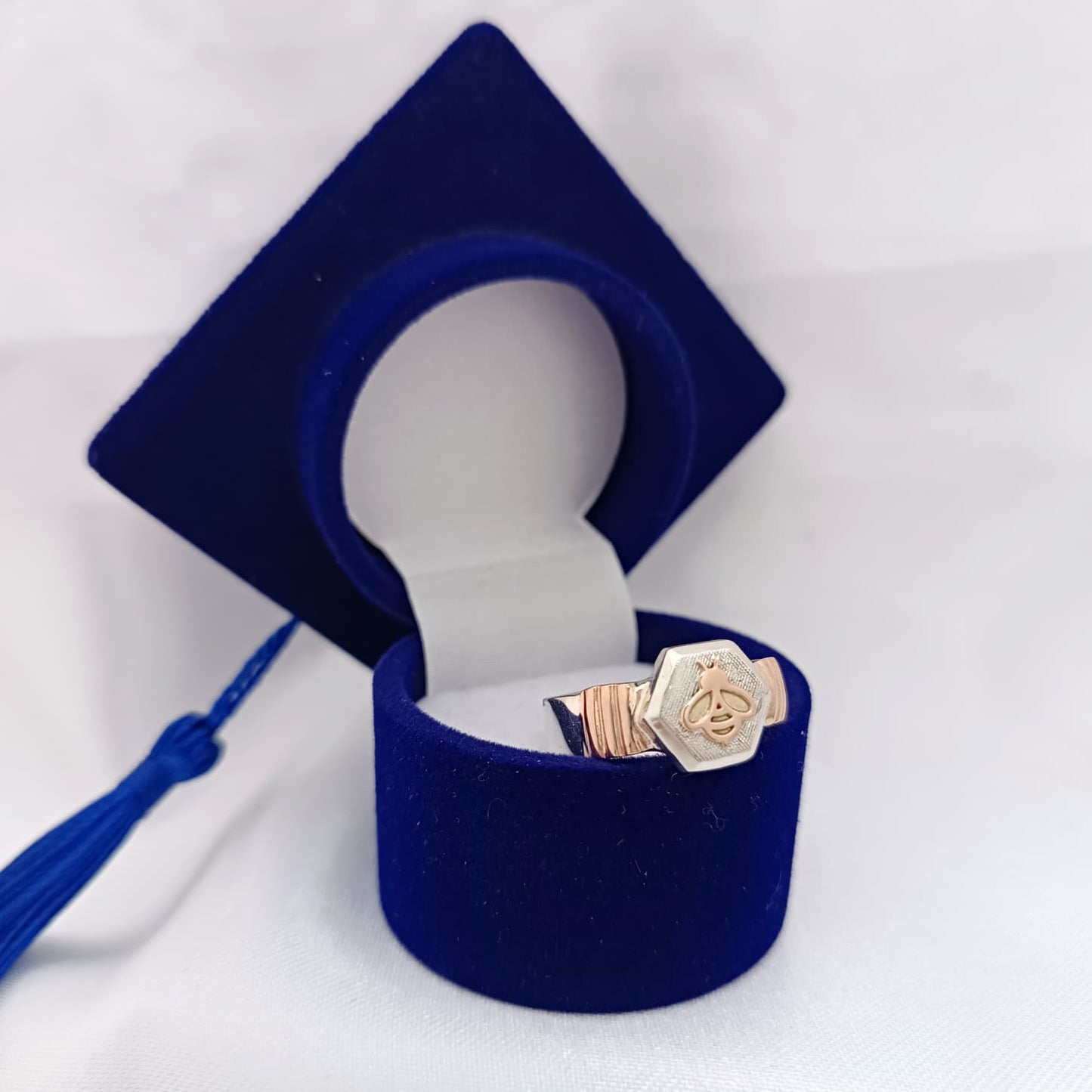 Anillos Profesión Maestra Logo Moderno