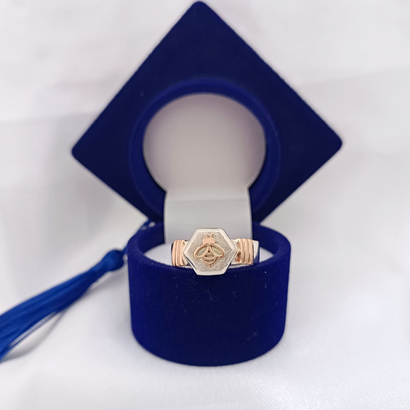 Anillos Profesión Maestra Logo Moderno