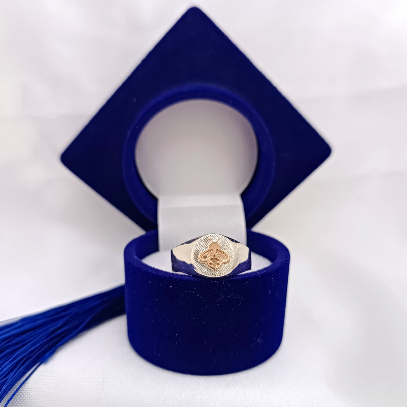 Anillos Profesión Maestra Logo Moderno