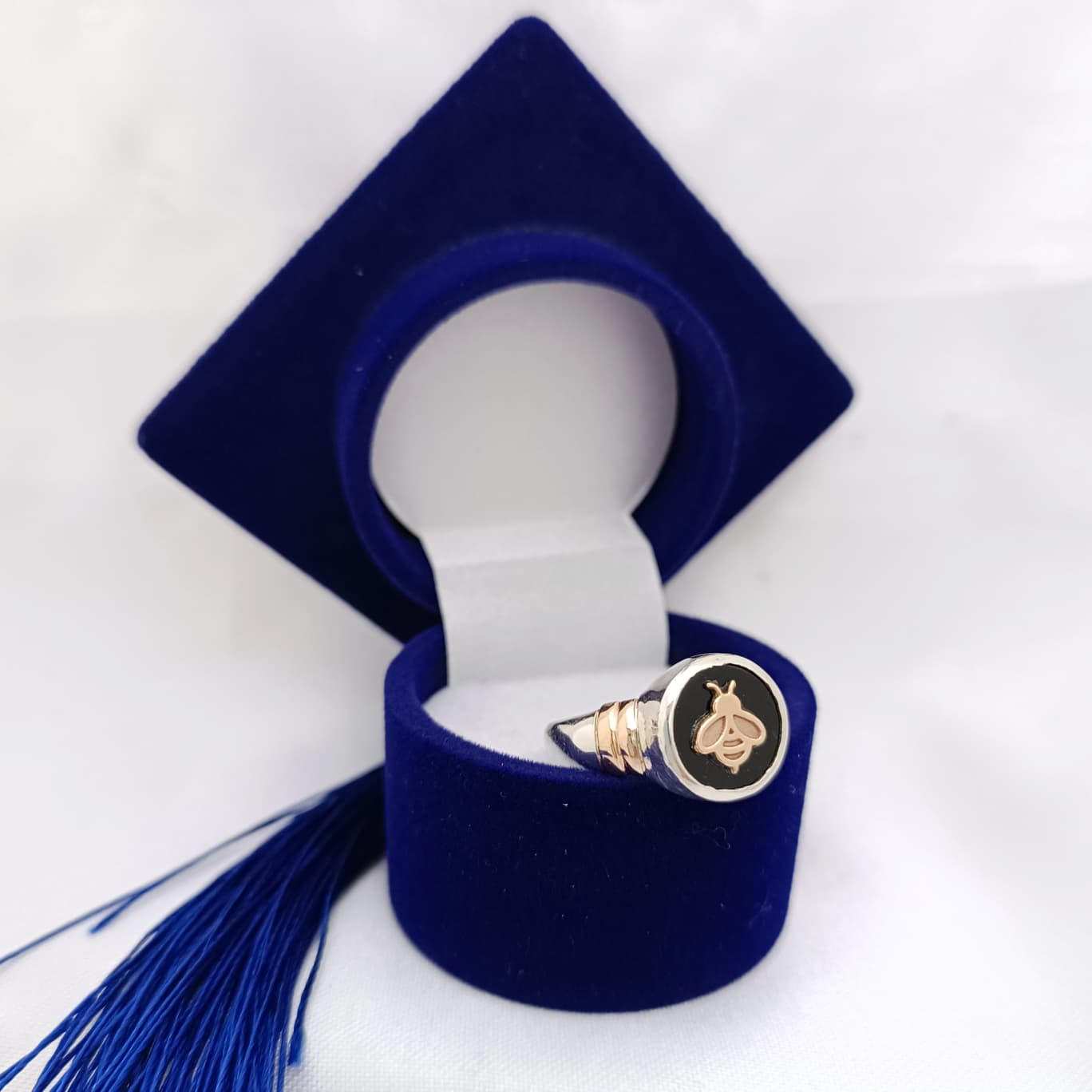 Anillos Profesión Maestra Logo Moderno