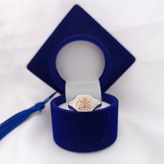 Anillos Profesión Maestra Logo Clásico