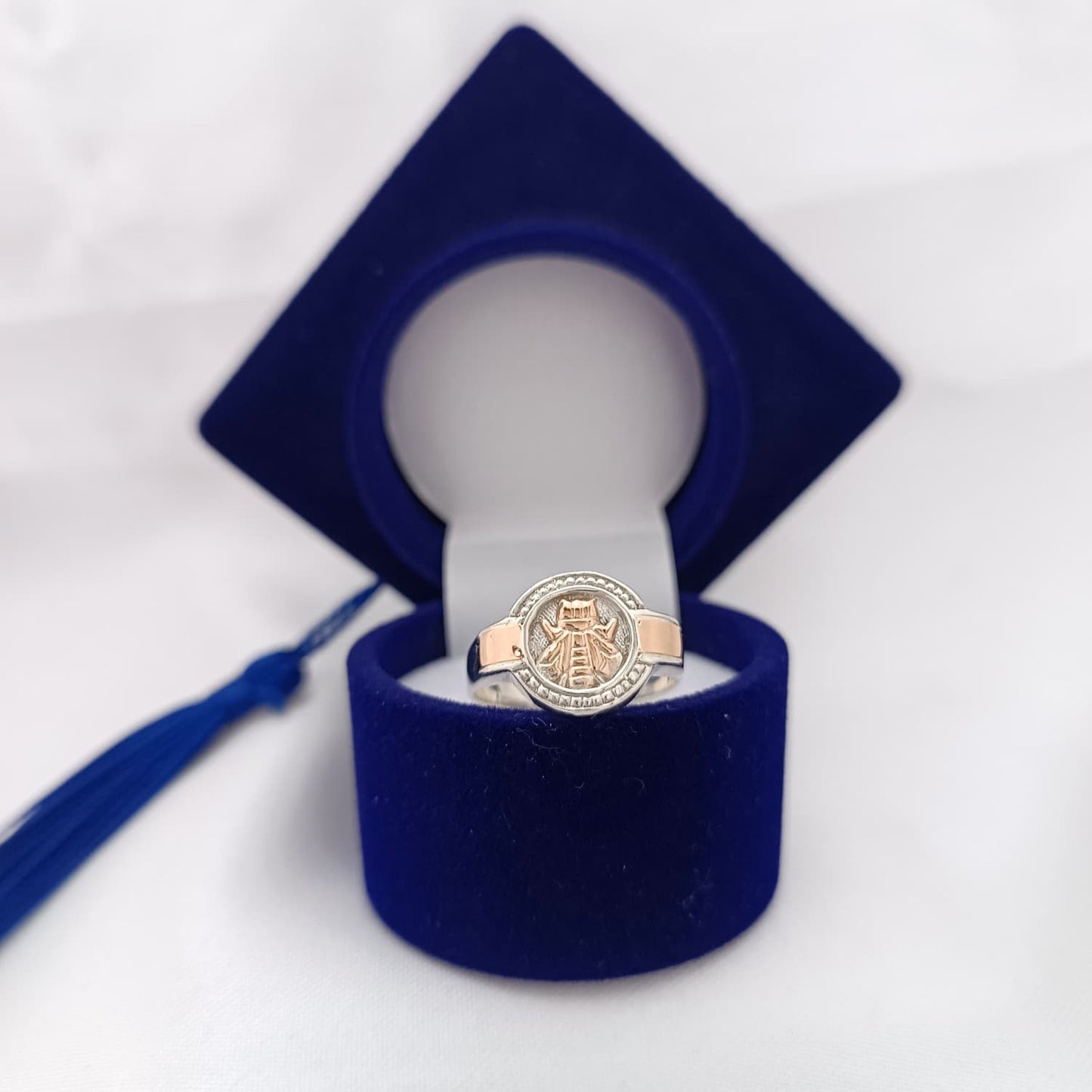 Anillos Profesión Maestra Logo Clásico