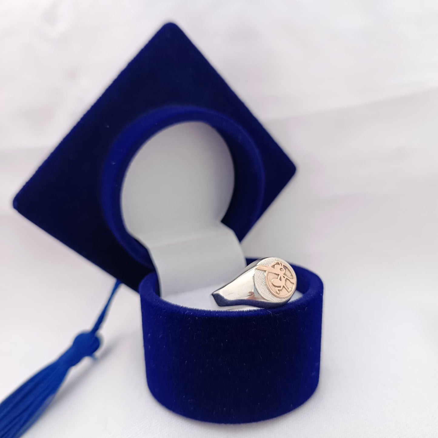 Anillos Profesión Educadora
