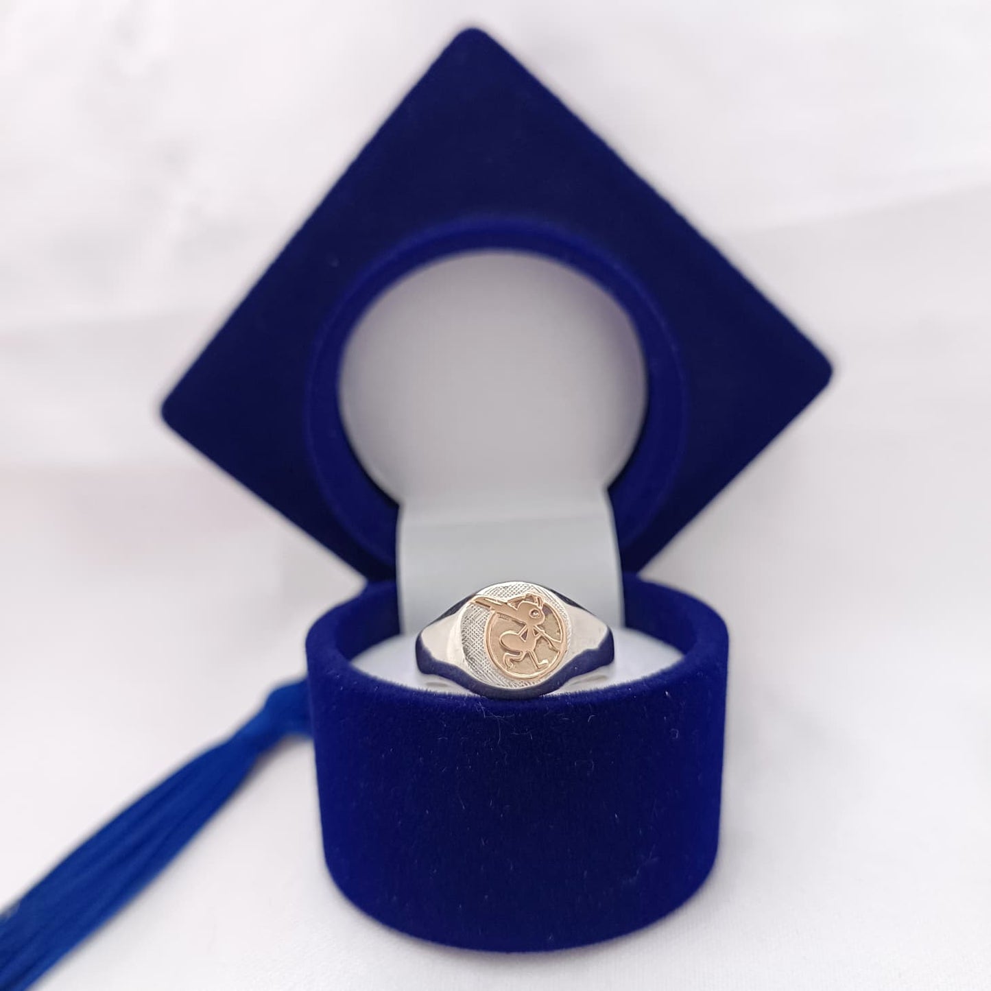 Anillos Profesión Educadora