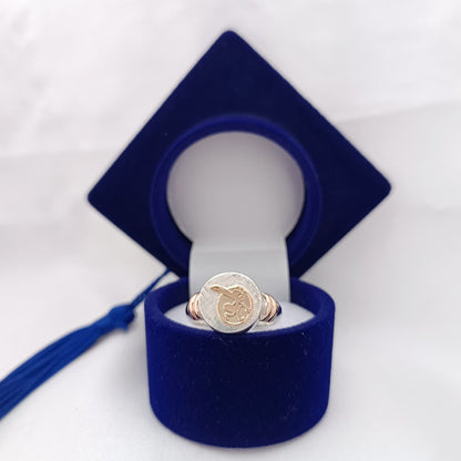 Anillos Profesión Educadora