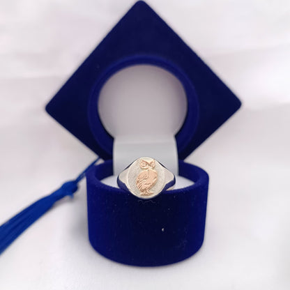 Anillos Profesión Profesor