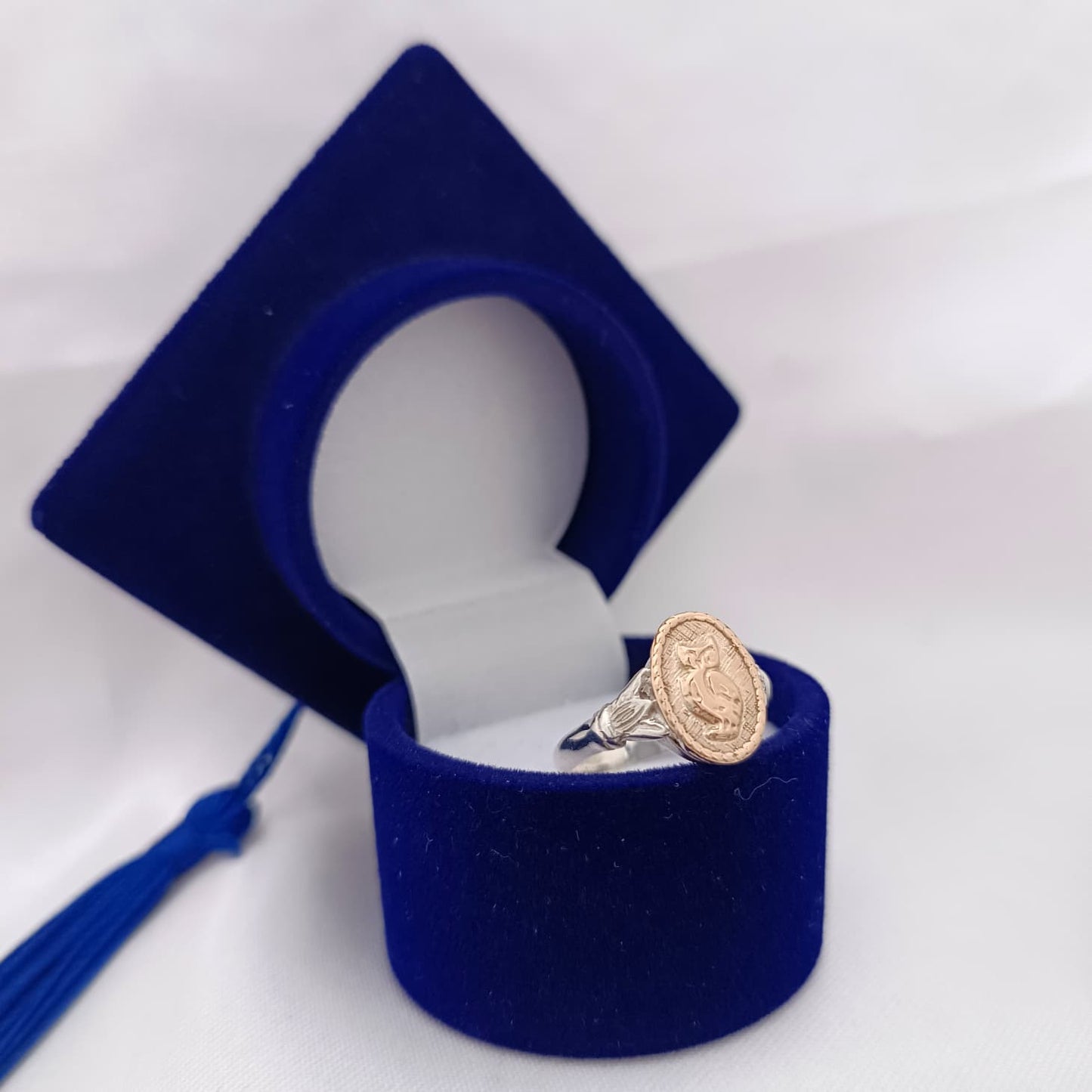 Anillos Profesión Profesor