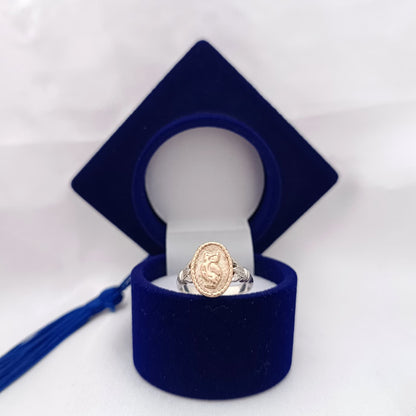 Anillos Profesión Profesor