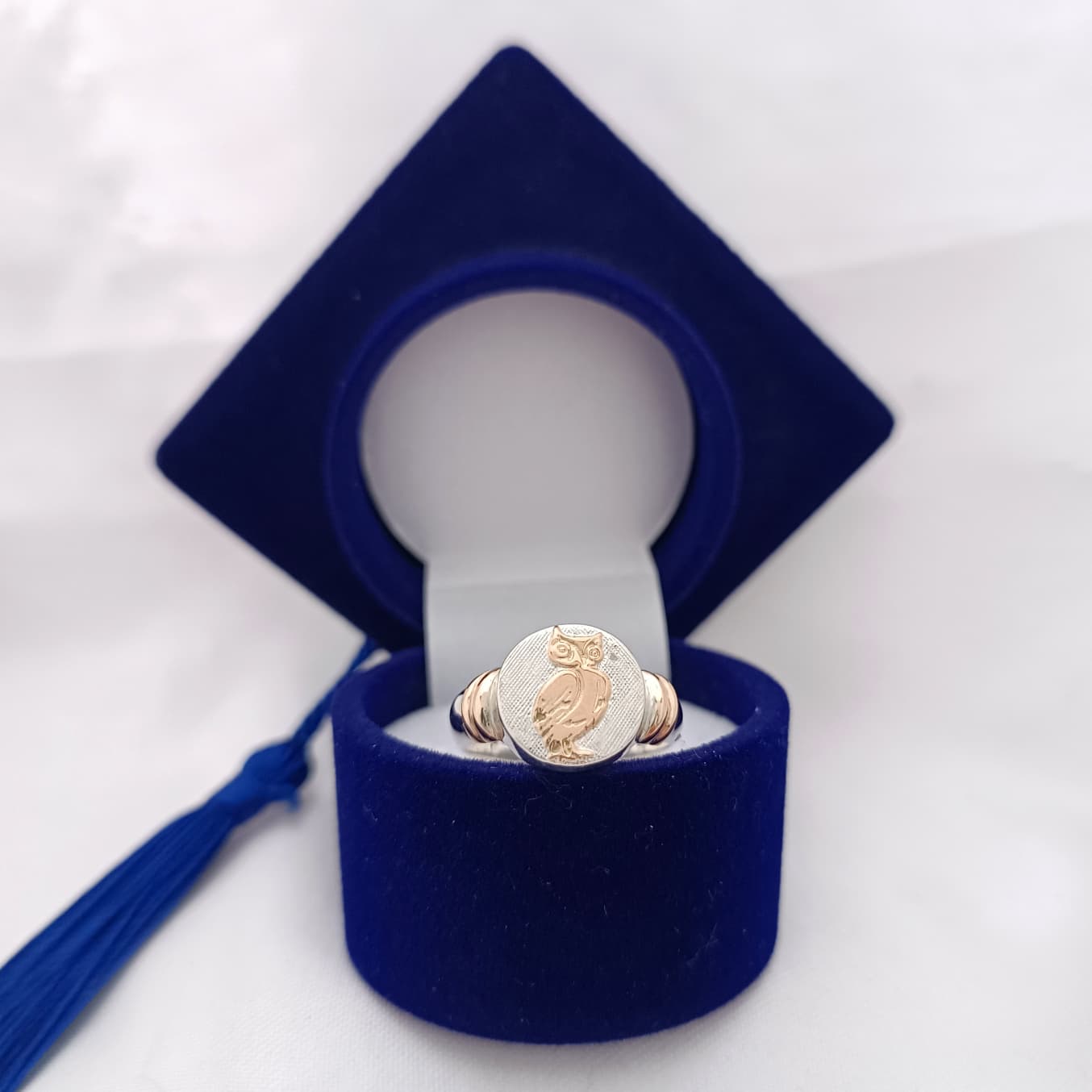 Anillos Profesión Profesor