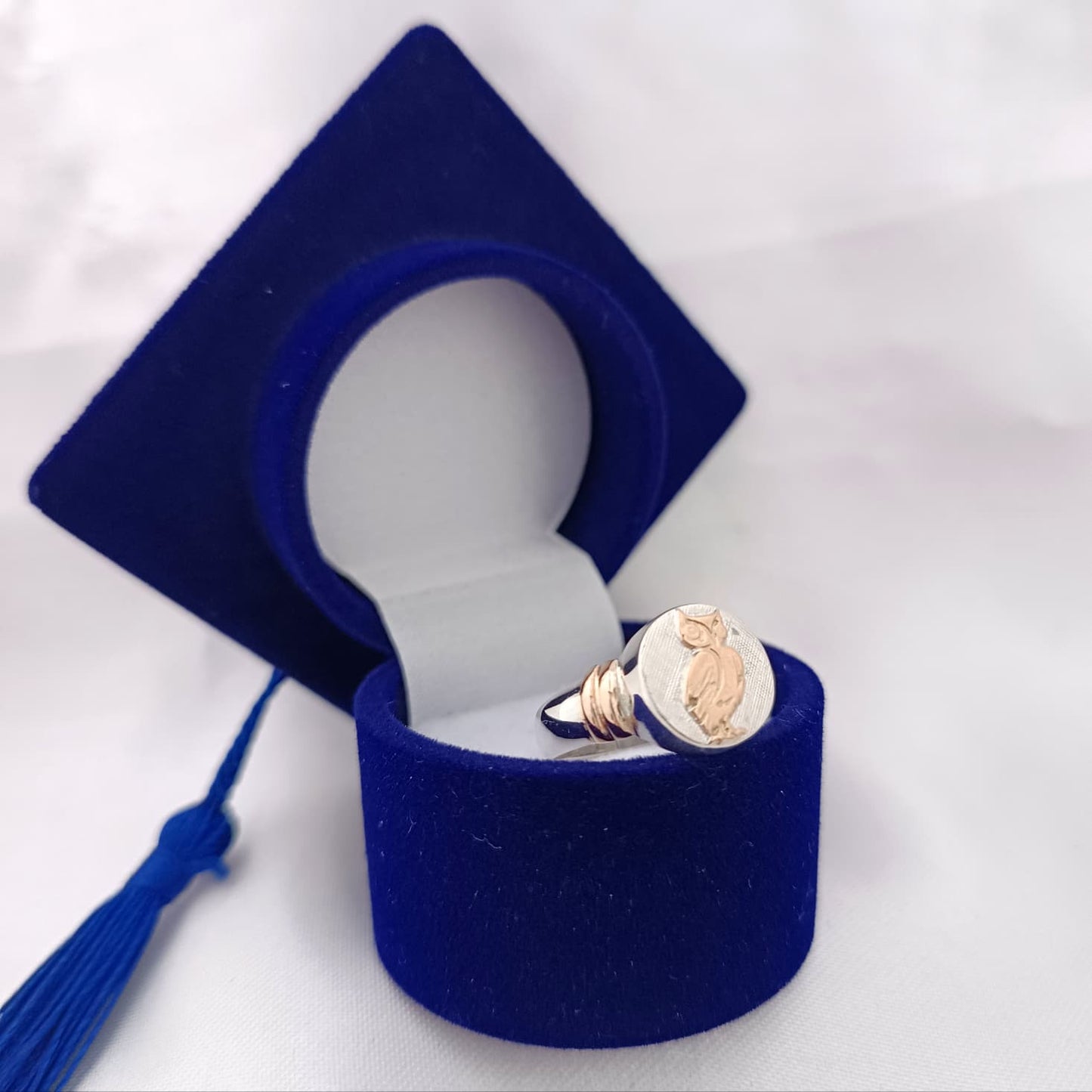 Anillos Profesión Profesor