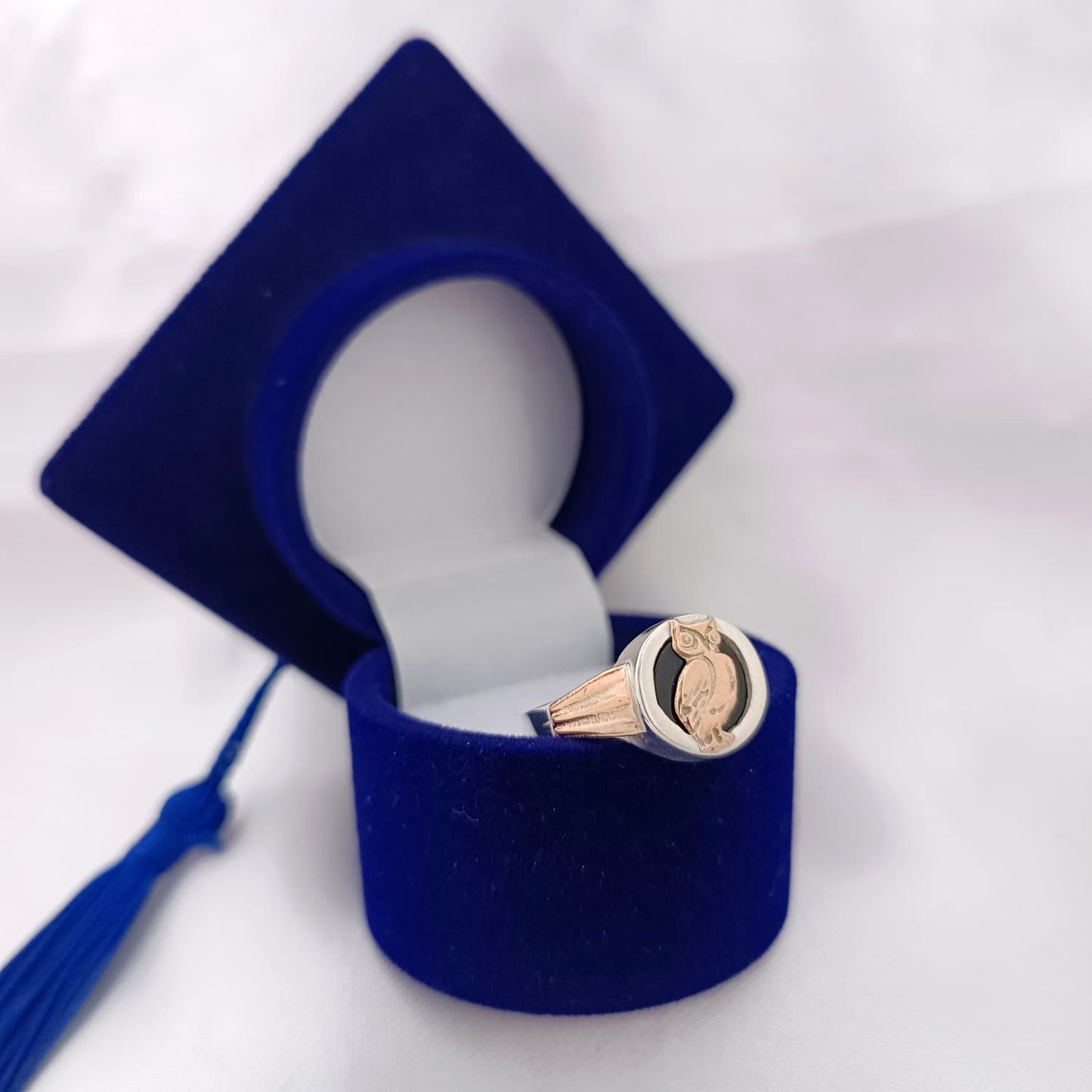Anillos Profesión Profesor