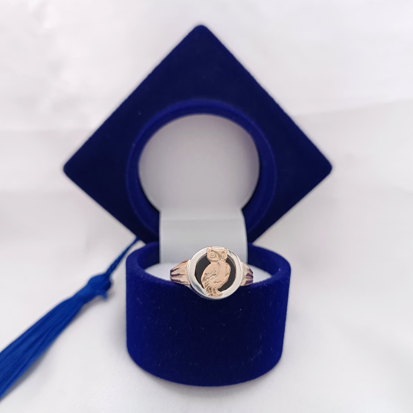 Anillos Profesión Profesor