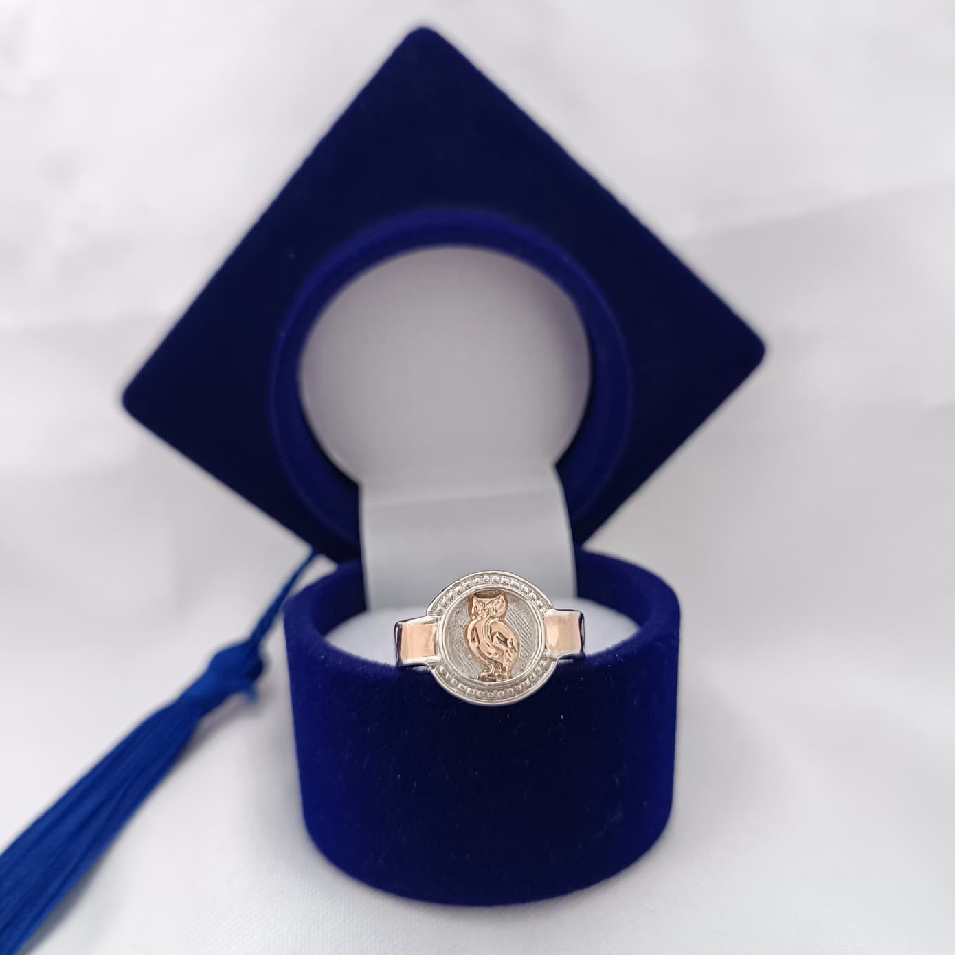 Anillos Profesión Profesor