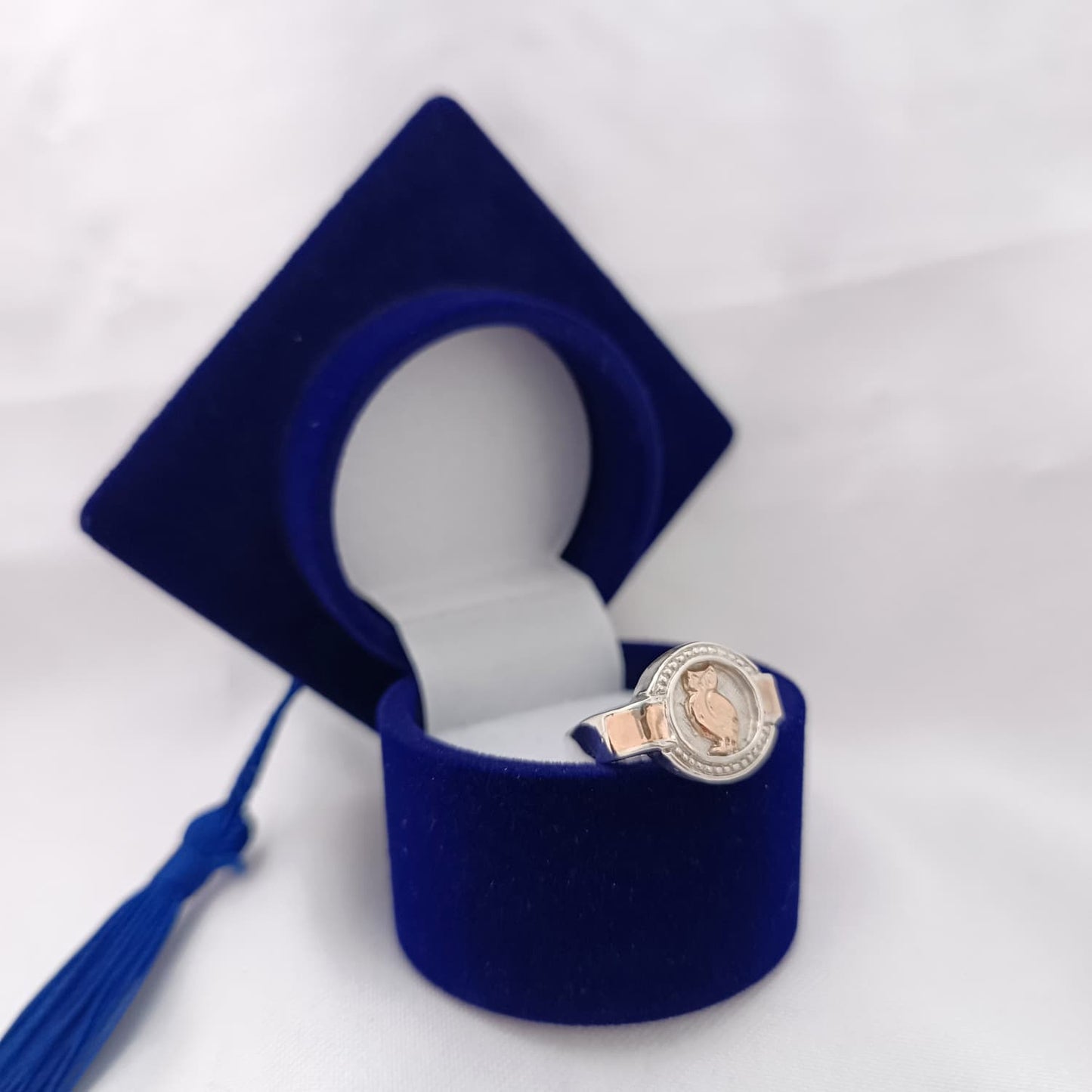 Anillos Profesión Profesor
