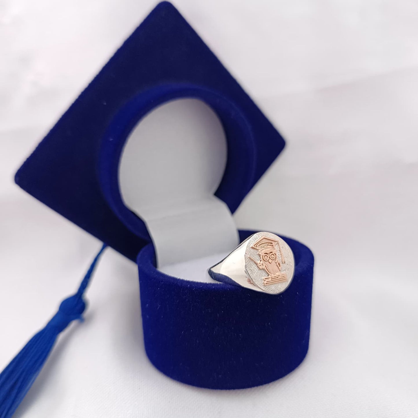 Anillos Profesión Profesor