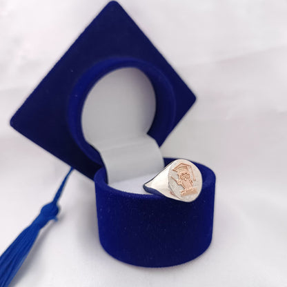 Anillos Profesión Profesor