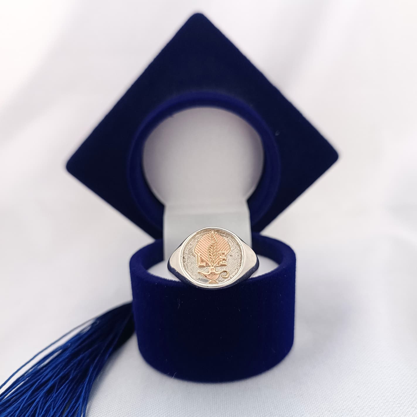 Anillos Profesión Licenciada en Enfermería/Nurse