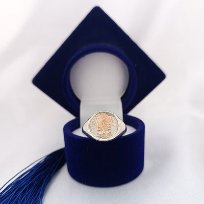 Anillos Profesión Licenciada en Enfermería/Nurse