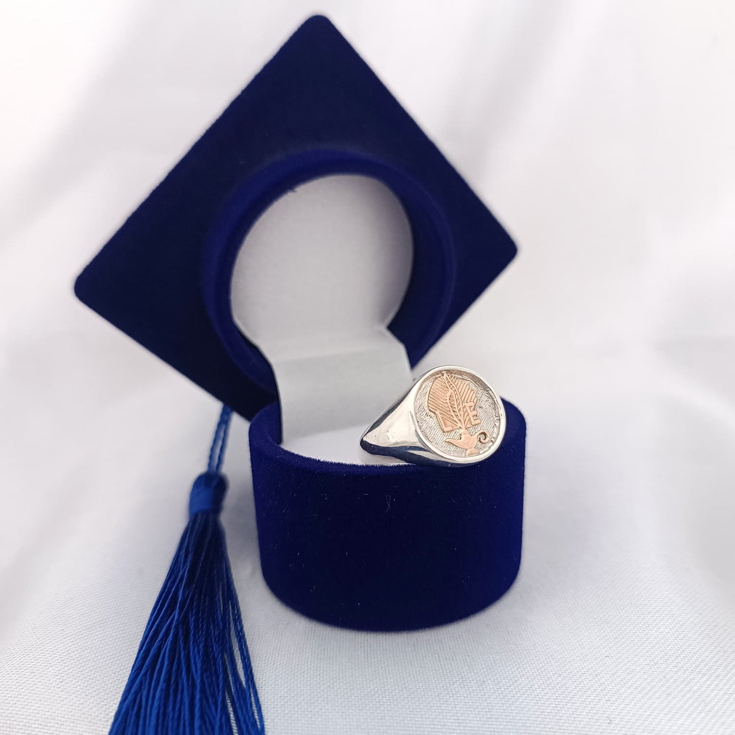 Anillos Profesión Licenciada en Enfermería/Nurse