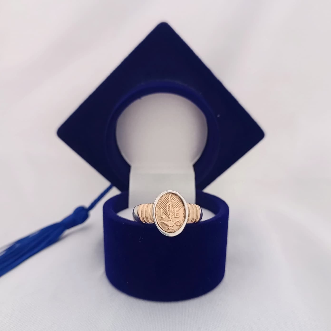 Anillos Profesión Licenciada en Enfermería/Nurse