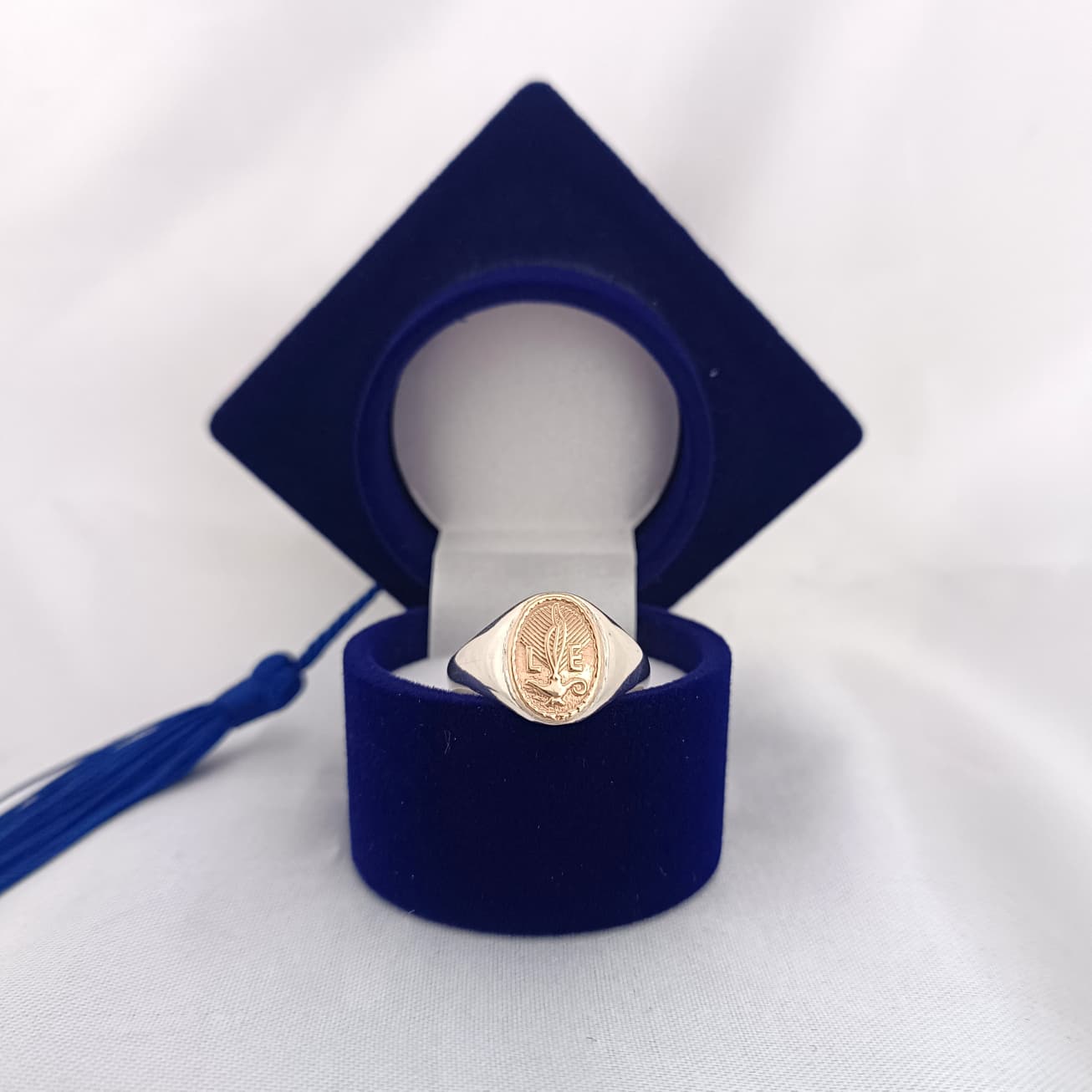 Anillos Profesión Licenciada en Enfermería/Nurse