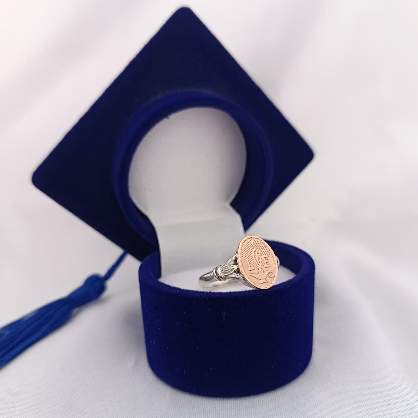 Anillos Profesión Licenciada en Enfermería/Nurse