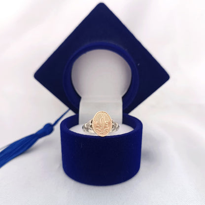 Anillos Profesión Licenciada en Enfermería/Nurse