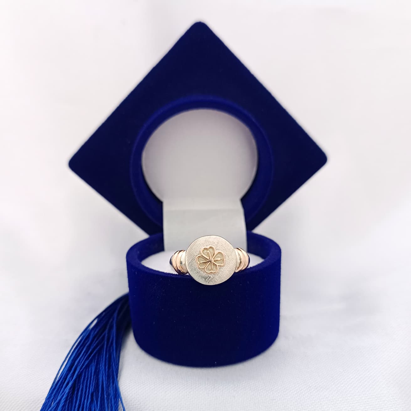 Anillos Profesión Nutricionista