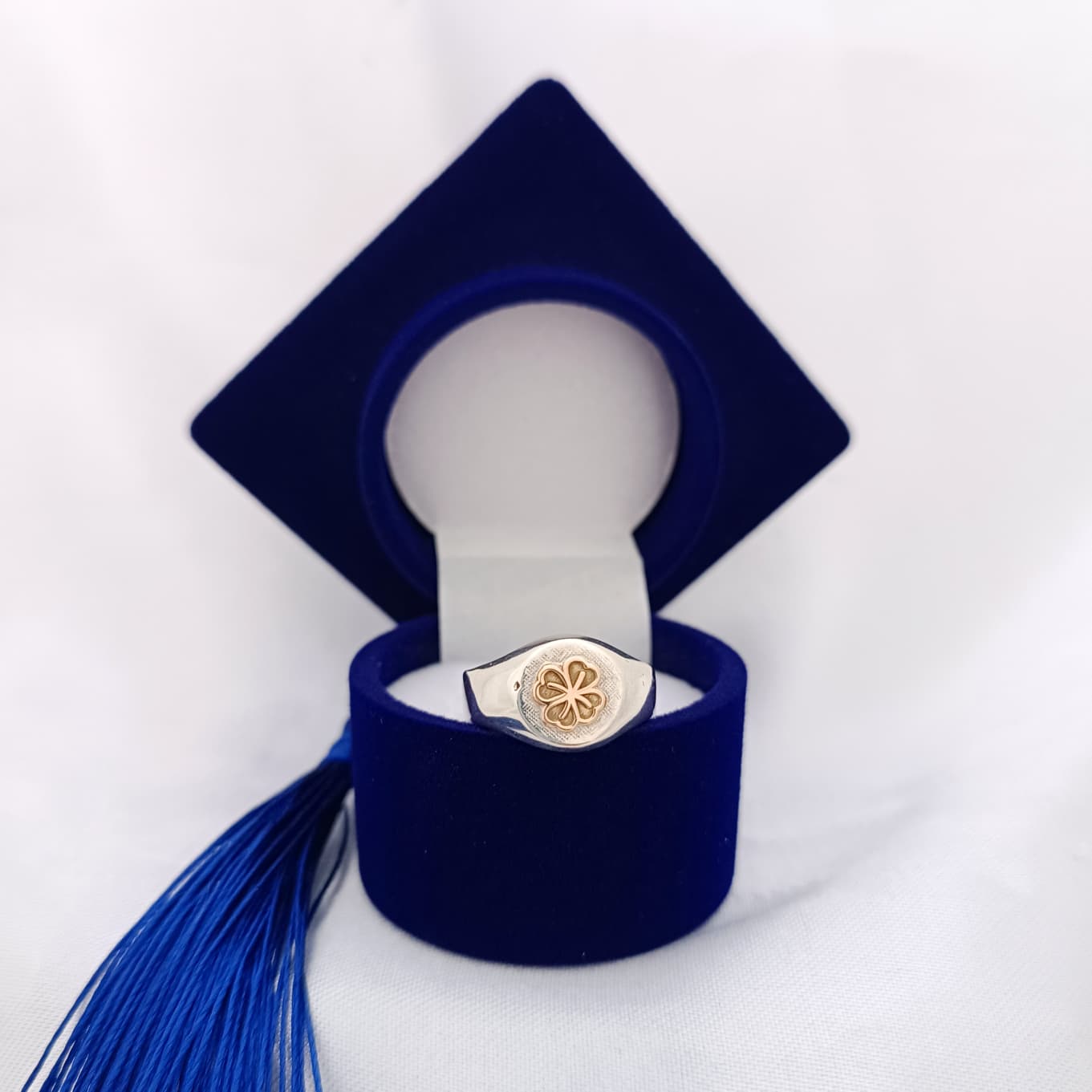 Anillos Profesión Nutricionista