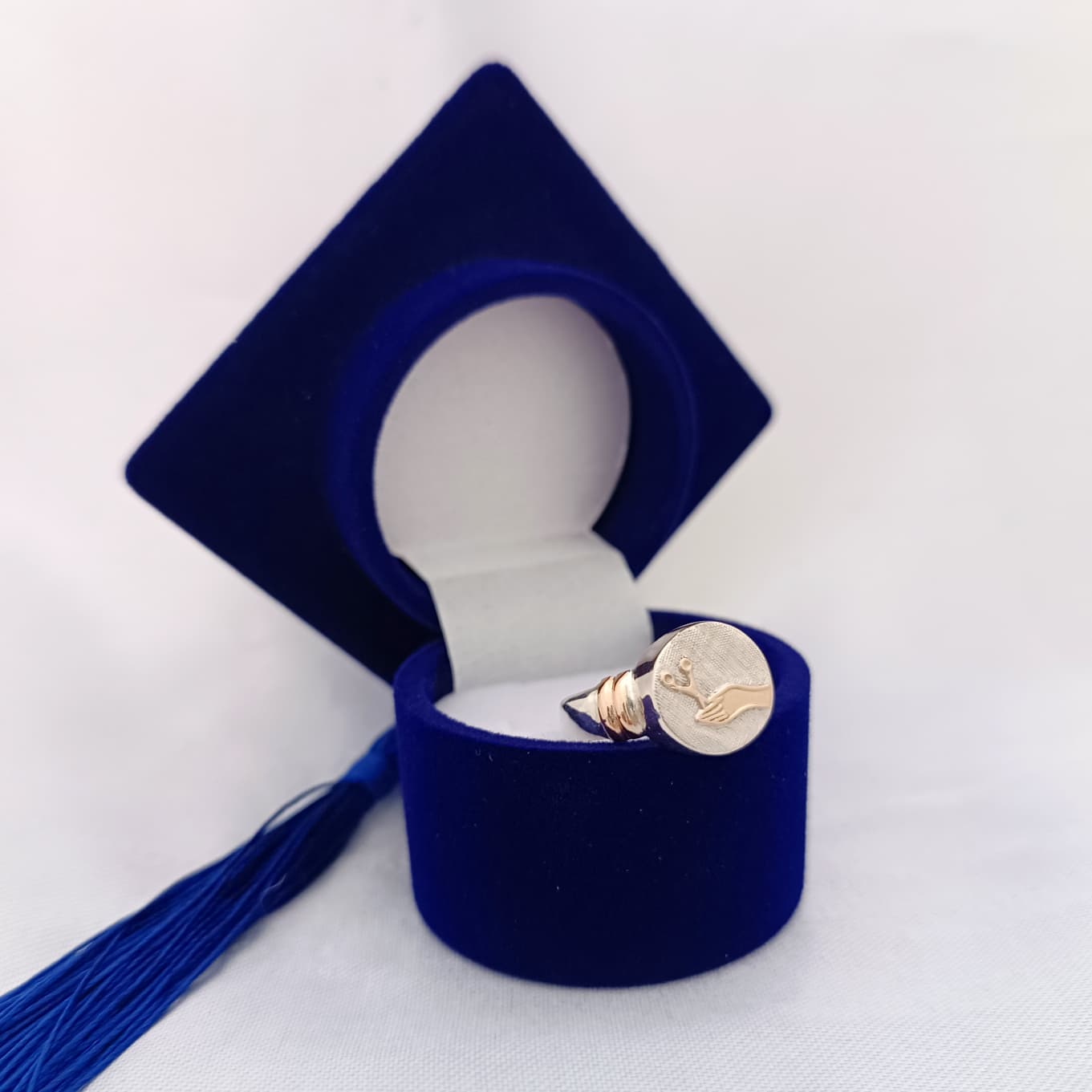 Anillos Profesión Instrumentista