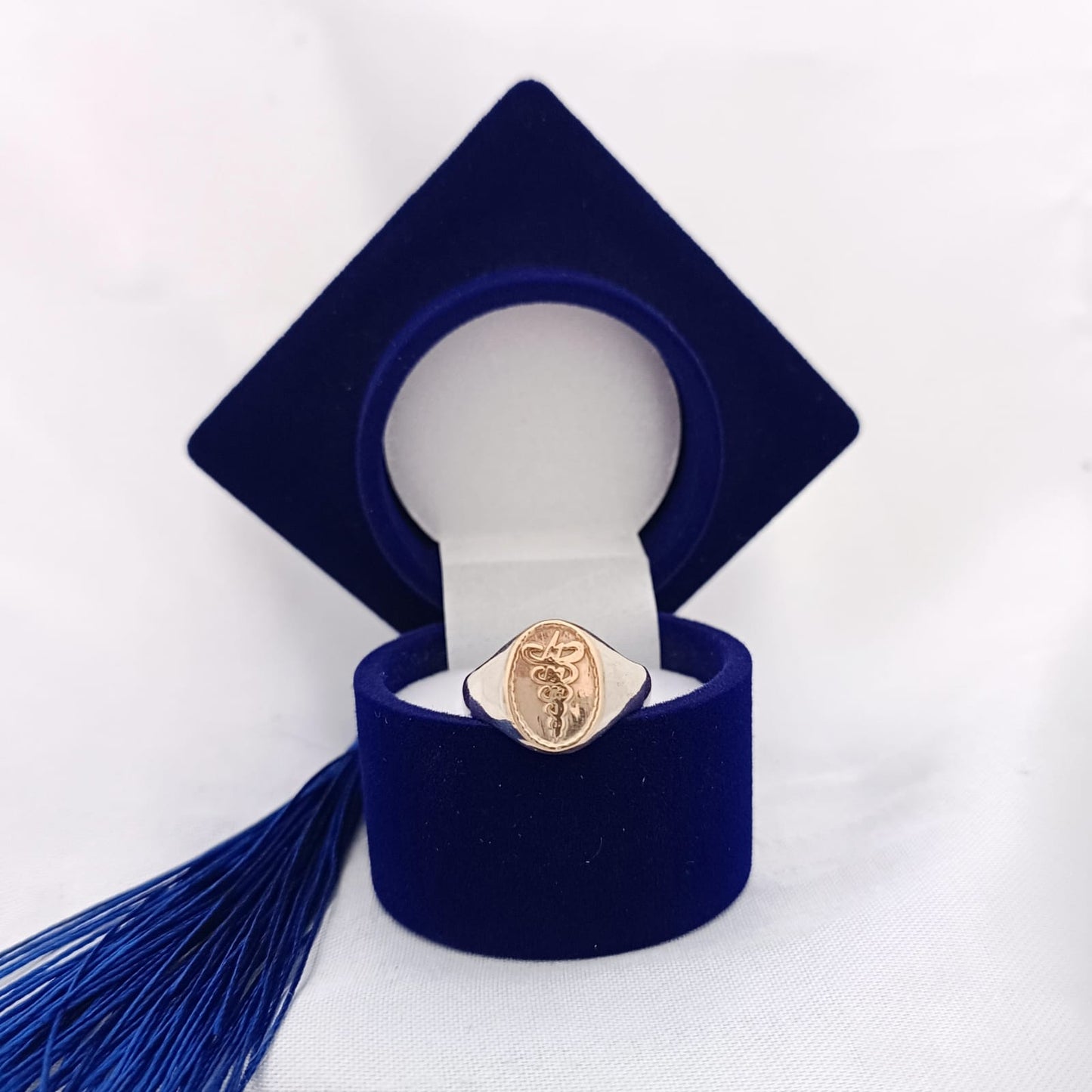 Anillos Profesión Fisioterapeuta