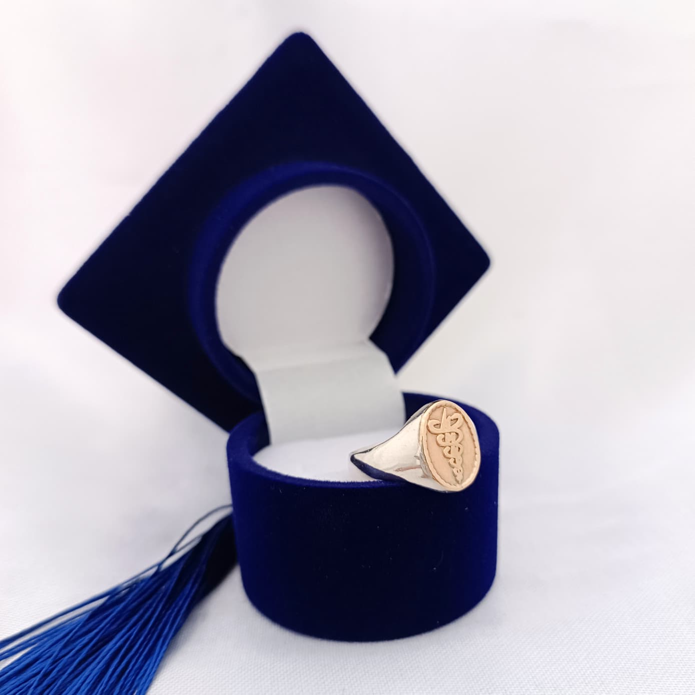 Anillos Profesión Fisioterapeuta