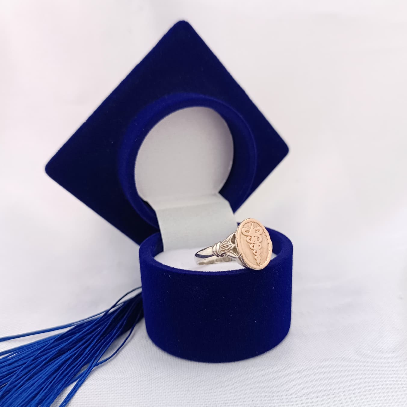 Anillos Profesión Fisioterapeuta