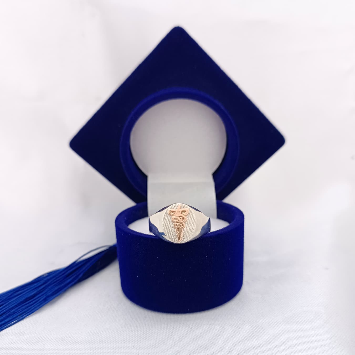 Anillos Profesión Fisioterapeuta