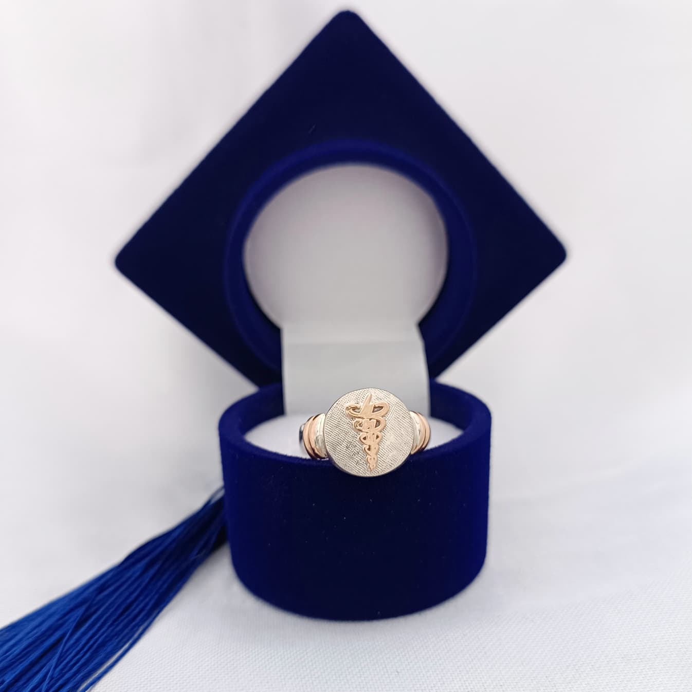 Anillos Profesión Fisioterapeuta