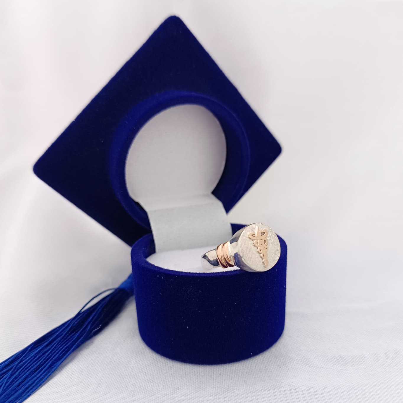 Anillos Profesión Fisioterapeuta